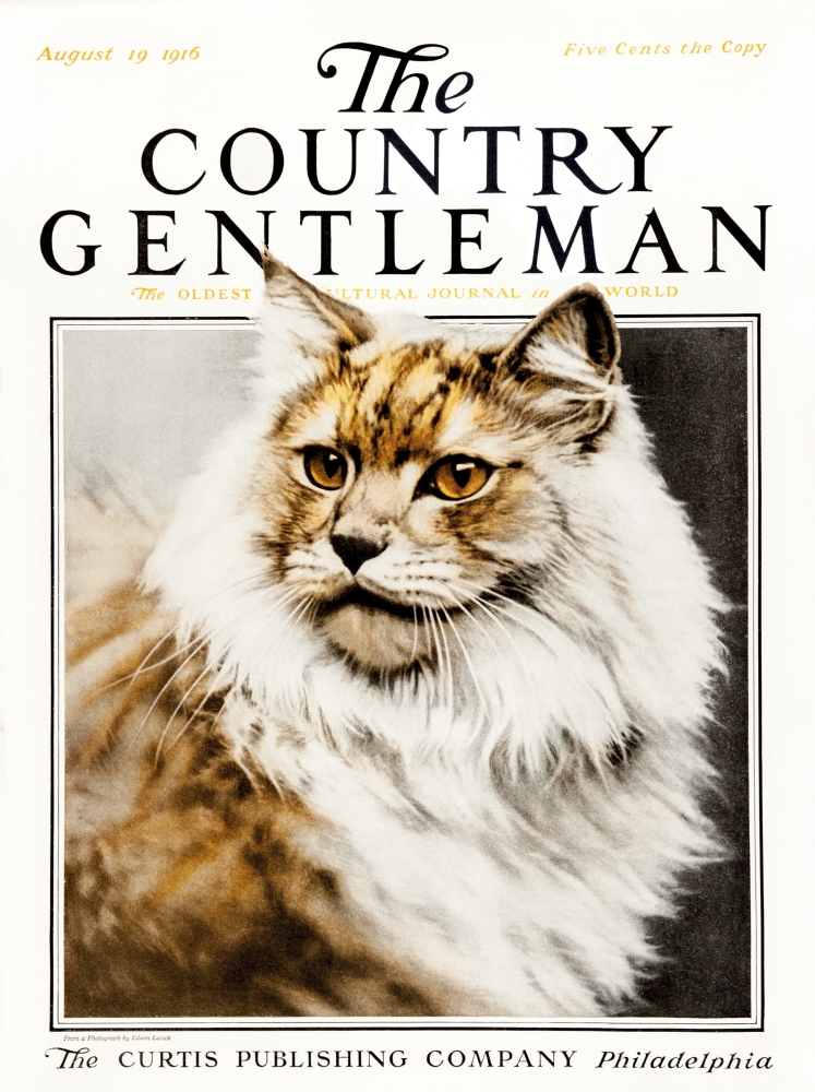 DPI12272320 Cover of Country Gentleman Agricultural Magazine From The Early 20th Century Poster Print - 13 x 17 in.