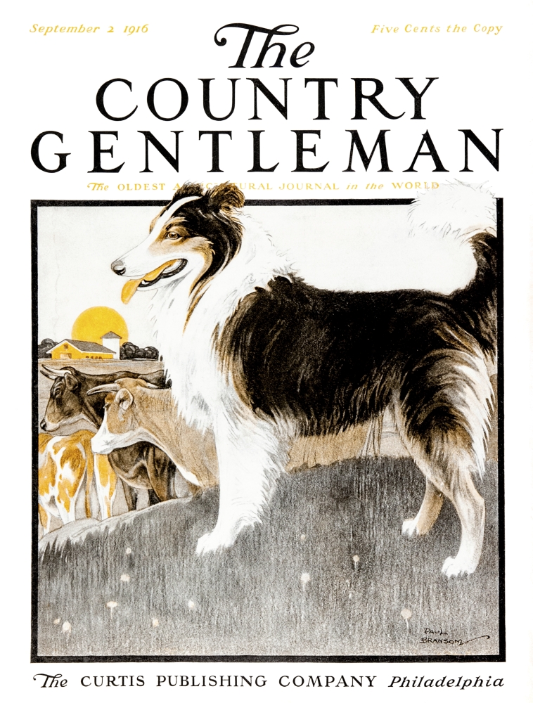 Cover of Country Gentleman Agricultural Magazine From The Early 20th Century Poster Print - 13 x 17 in.