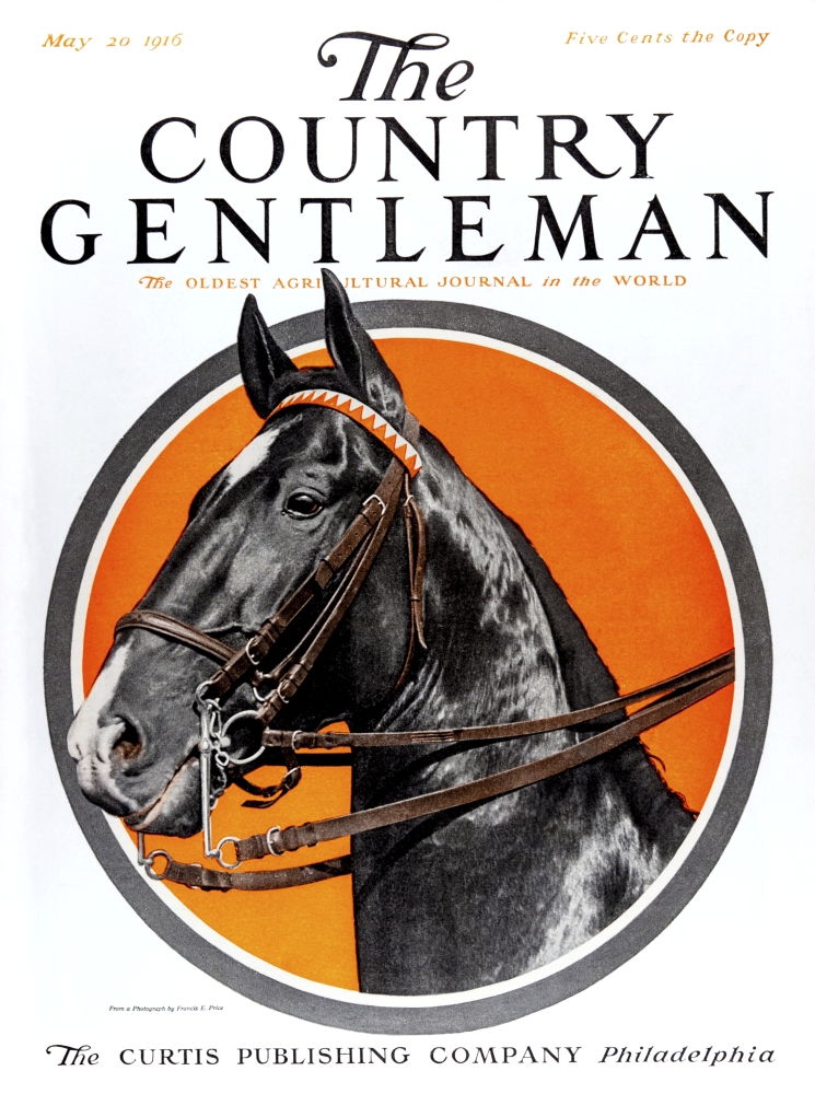 DPI12272374 Cover of Country Gentleman Agricultural Magazine From The Early 20th Century Poster Print - 13 x 17 in.