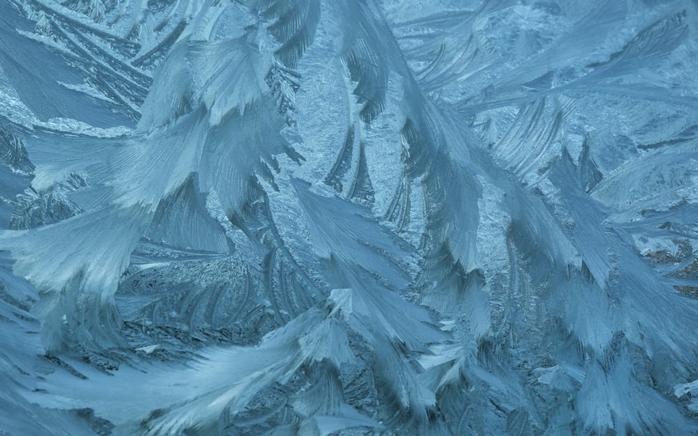 DPI12278879 Ice Patterns Formed on Glass After A Hard Frost - Nelson Wakefield New Zealand Poster Print - 19 x 12 in.
