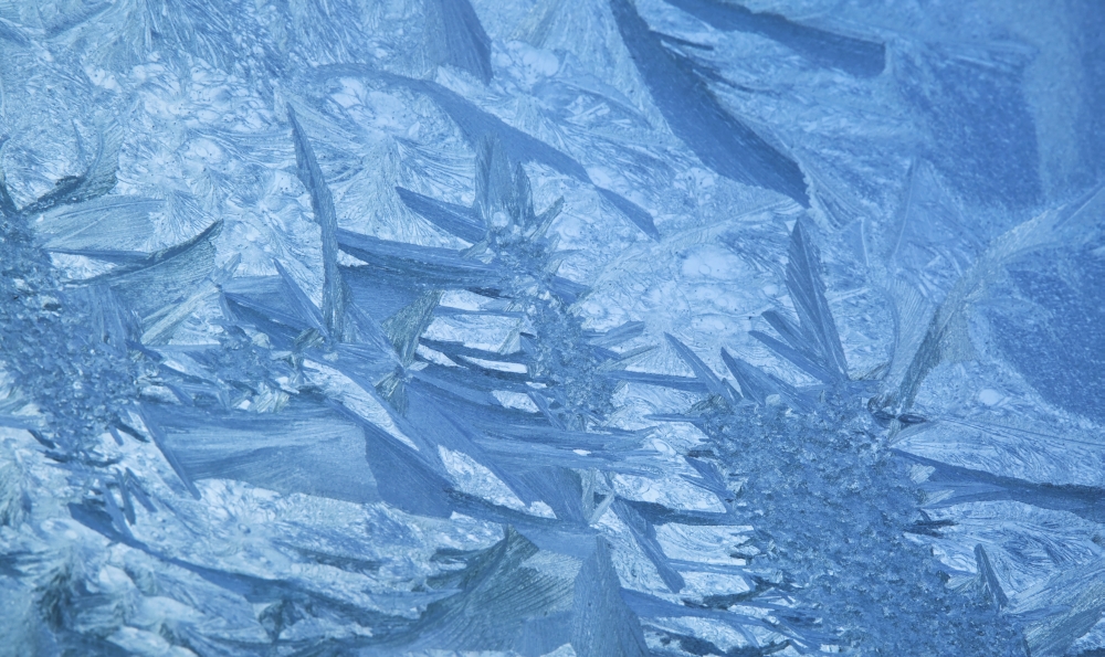 DPI12278880 Ice Patterns Formed on Glass After A Hard Frost - Nelson Wakefield New Zealand Poster Print - 20 x 11 in.