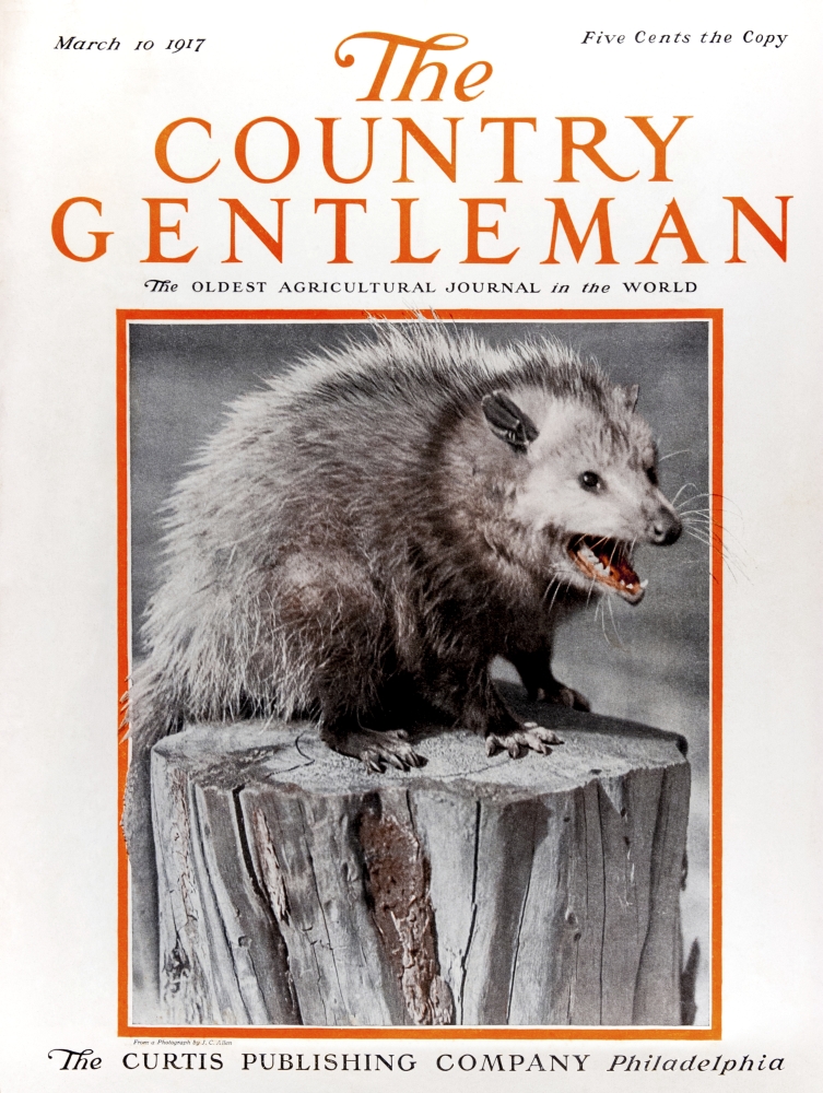 Cover of Country Gentleman Agricultural Magazine From The Early 20th Century Poster Print - 13 x 17 in.