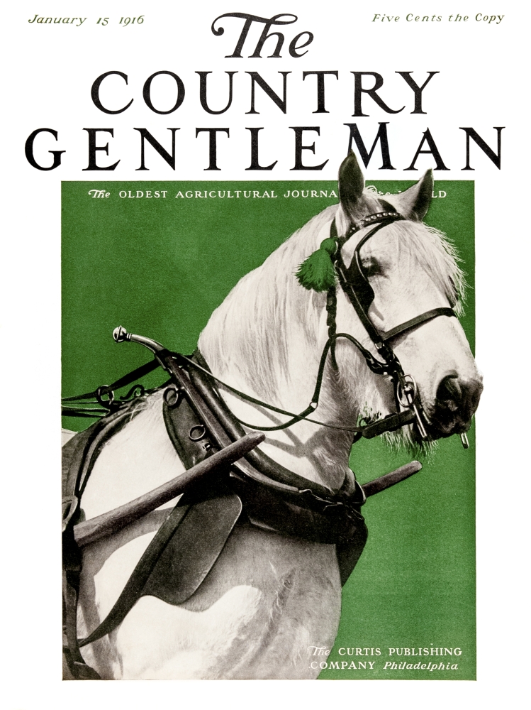 Cover of Country Gentleman Agricultural Magazine From The Early 20th Century Poster Print - 13 x 17 in.