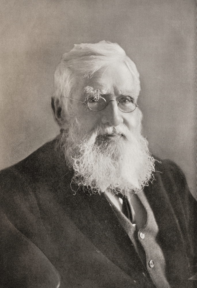 Alfred Russel Wallace 1823 Poster Print - 12 x 18