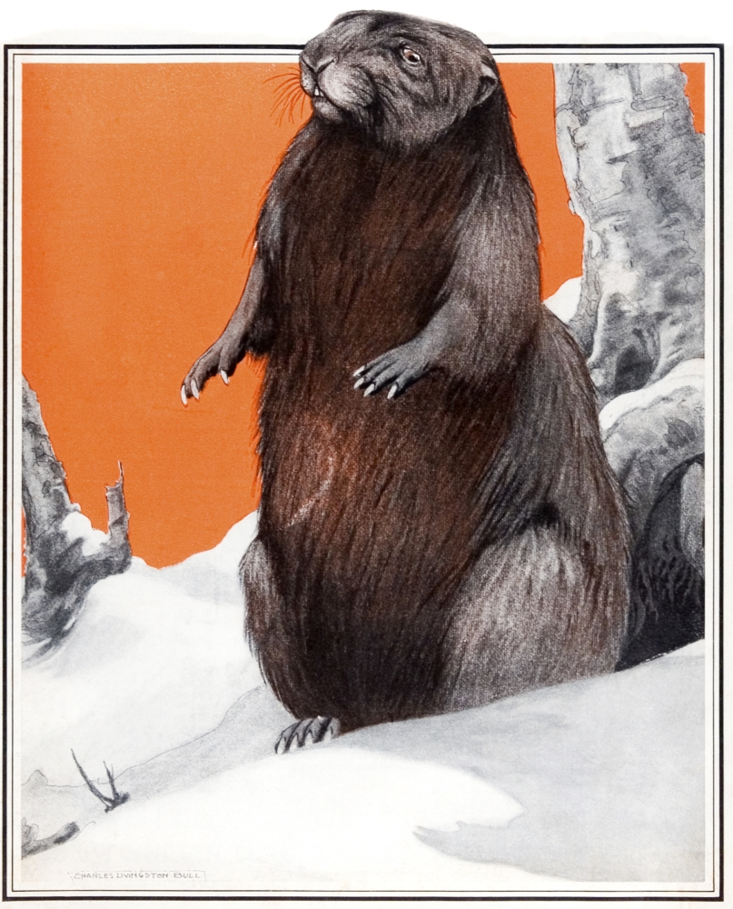 DPI12272370 Cover of Country Gentleman Agricultural Magazine From The Early 20th Century Poster Print - 13 x 17 in.