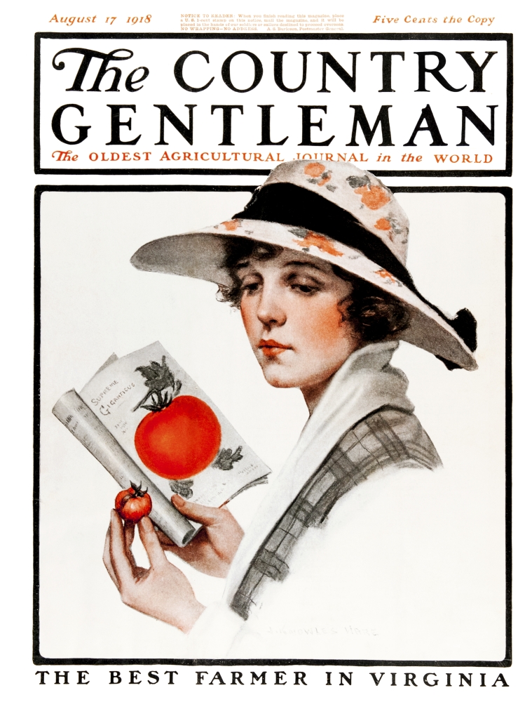 DPI12272402 Cover of Country Gentleman Agricultural Magazine From The Early 20th Century Poster Print - 13 x 17 in.
