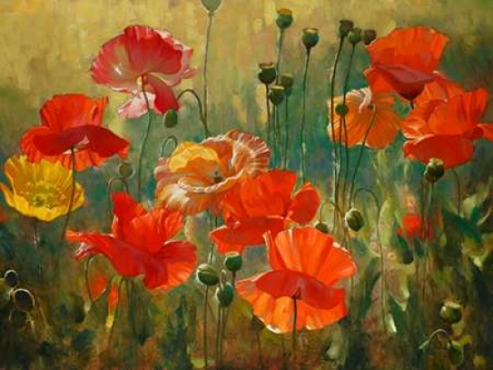 Poppy Fields Poster Print by Emma Styles, 22 x 28 - Large