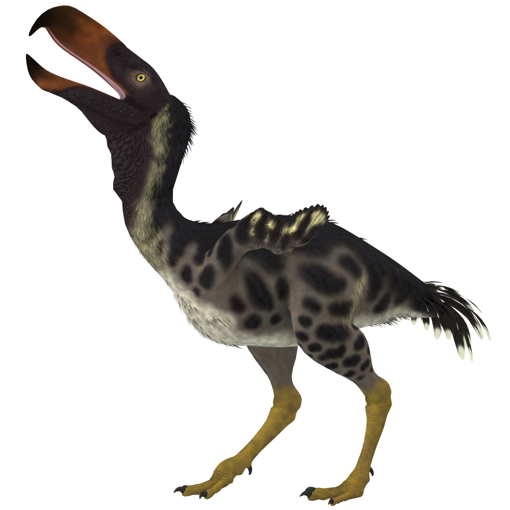 Kelenken is An Extinct Genus of Giant Flightless Predatory Birds That Are Called Terror Birds From The Miocene Epoch Poster Print, 14 x 14