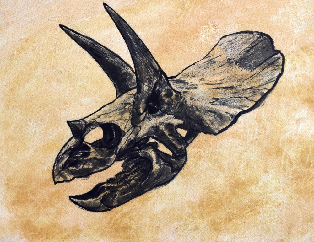 Triceratops Dinosaur Skull On Textured Background Poster Print - 16 x 12