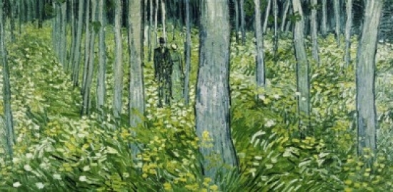 Undergrowth with Two Figures 1890 Vincent Van Gogh - 1853-1890 & Dutch Oil On Canvas Cincinnati Art Museum Ohio Poster Print - 24 x 36 - Large