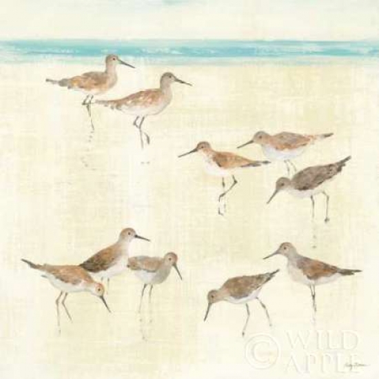 Sandpipers Poster Print by Avery Tillmon - 24 x 24 - Large
