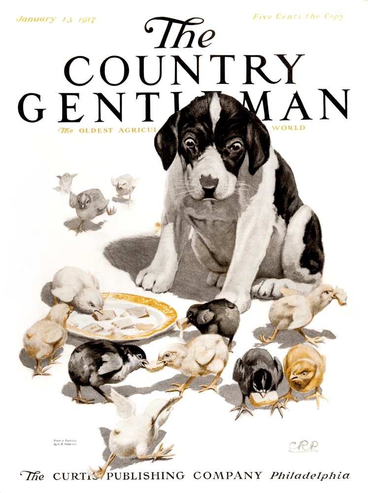 DPI12272436 Cover of Country Gentleman Agricultural Magazine From The Early 20th Century Poster Print - 13 x 17 in -  Posterazzi