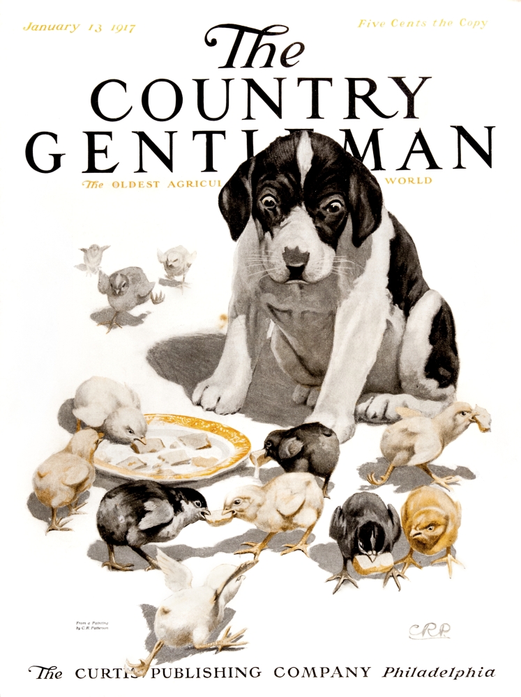 DPI12272436 Cover of Country Gentleman Agricultural Magazine From The Early 20th Century Poster Print - 13 x 17 in.