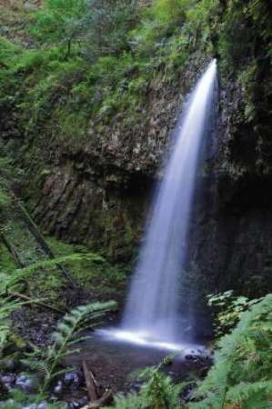 Serene Waterfall Poster Print by Logan Thomas, 20 x 28 - Large