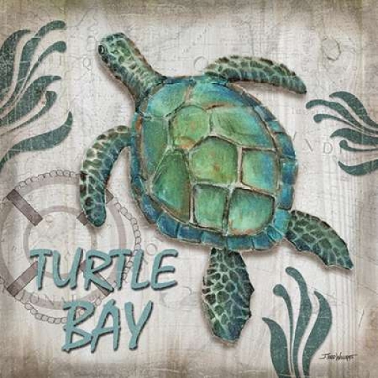 PDXTWM248SMALL Turtle Bay Poster Print by Todd Williams, 12 x 12 - Small