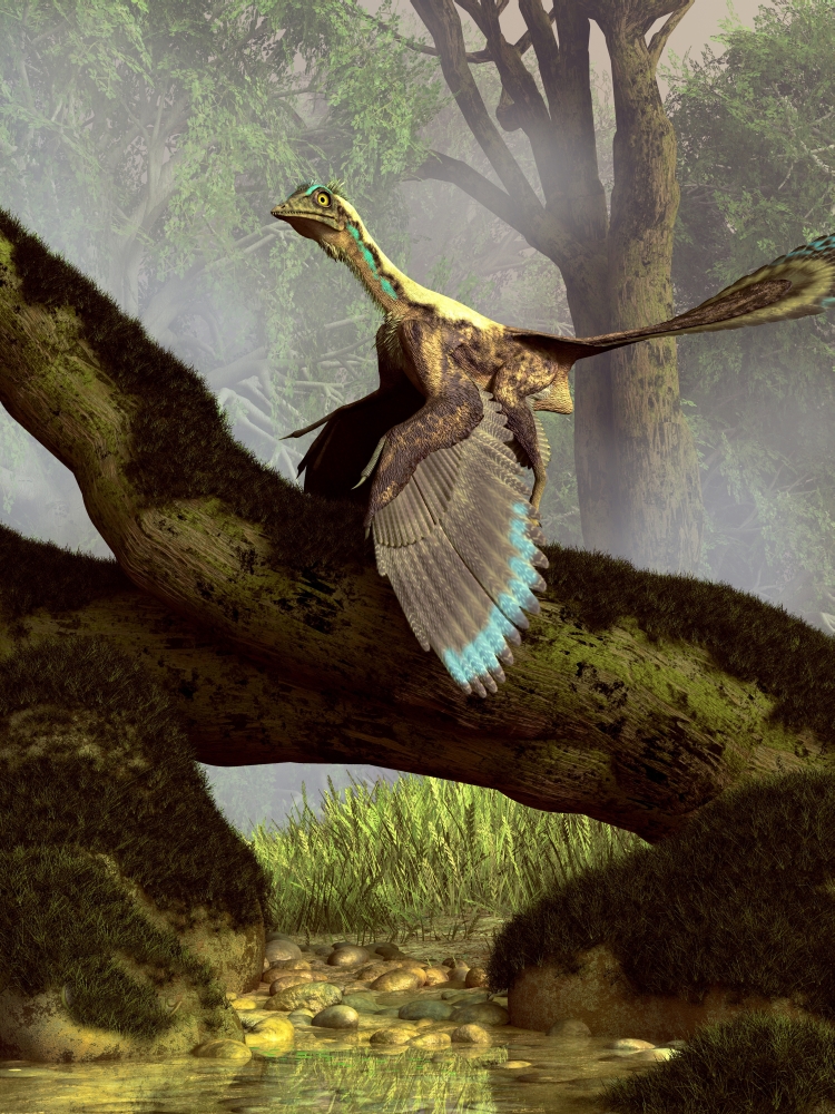 An Archaeopteryx On A Log Above A Stream Poster Print - 12 x 16