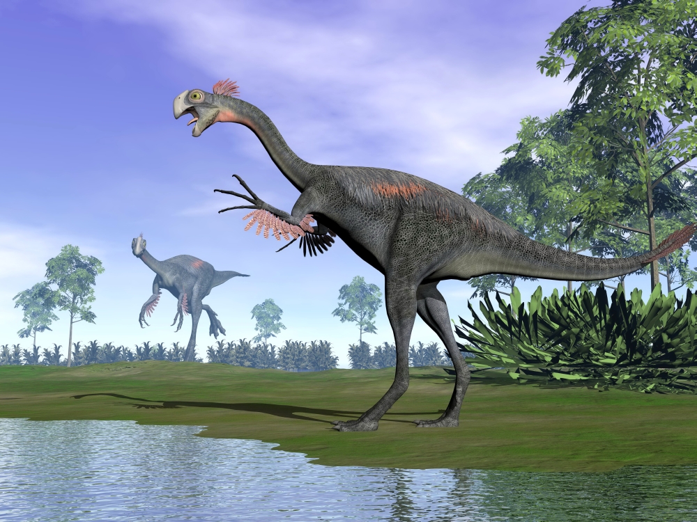 Two Gigantoraptor Dinosaurs Standing in Nature with Trees Next To Water Poster Print - 16 x 12