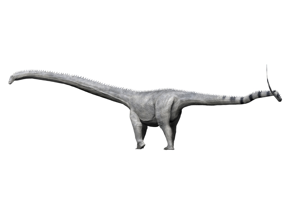 Barosaurus Dinosaur Poster Print - 16 x 12
