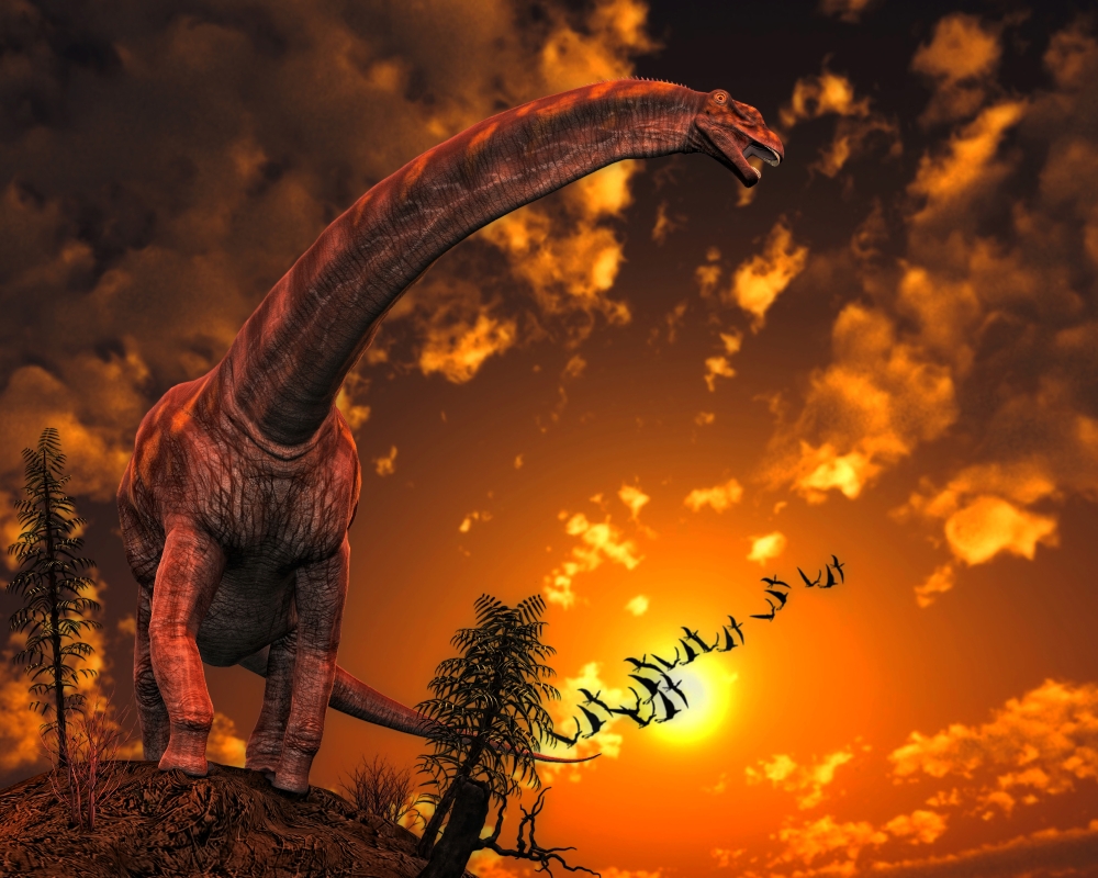 Picture of Argentinosaurus A Titanosaur Sauropod Dinosaur From Argentina. Argentinosaurus Lived During The Late Cretaceous Period. It is Among The Largest Known Dinosaurs Poster Print, 15 x 12