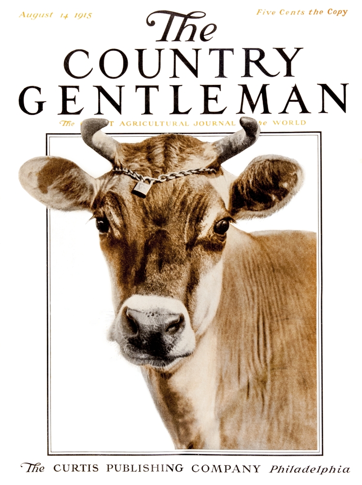 DPI12272526 Cover of Country Gentleman Agricultural Magazine From The Early 20th Century Poster Print - 13 x 17 in.