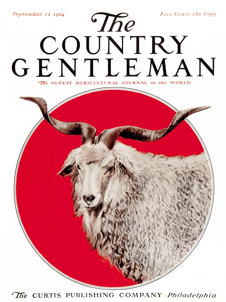 DPI12272503 Cover of Country Gentleman Agricultural Magazine From The Early 20th Century Poster Print - 13 x 17 in.