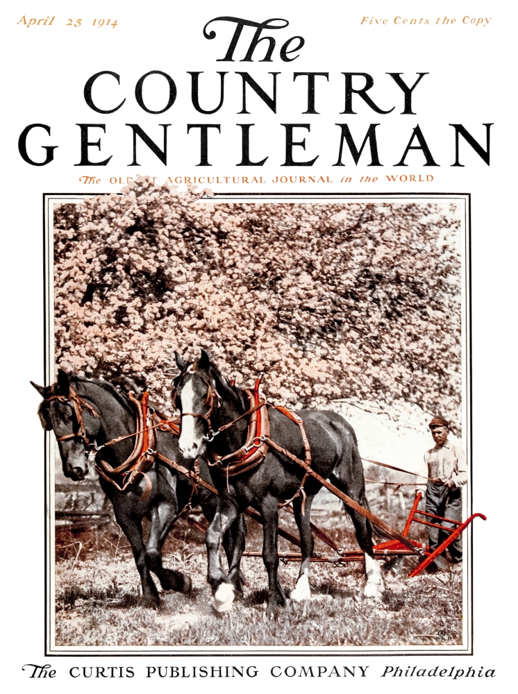 DPI12272524 Cover of Country Gentleman Agricultural Magazine From The Early 20th Century Poster Print - 13 x 17 in.