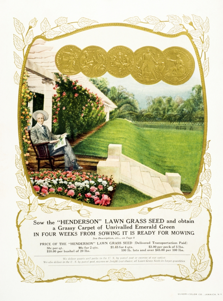 DPI12272551LARGE Historic Henderson Lawn Grass Seed Advertisement From 20th Century Poster Print - 26 x 36 in. - Large