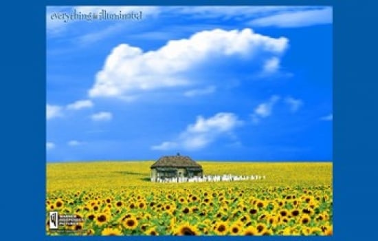 MOV283492 Everything is Illuminated Movie Poster, 17 x 11