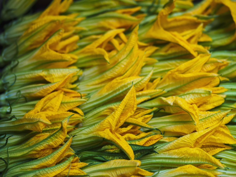 Squash Leaves Are A Treat in Springtime in Italy & Can Be Found for Sale From Street Vendors - Florence Italy Poster Print - 17 x 13 in.