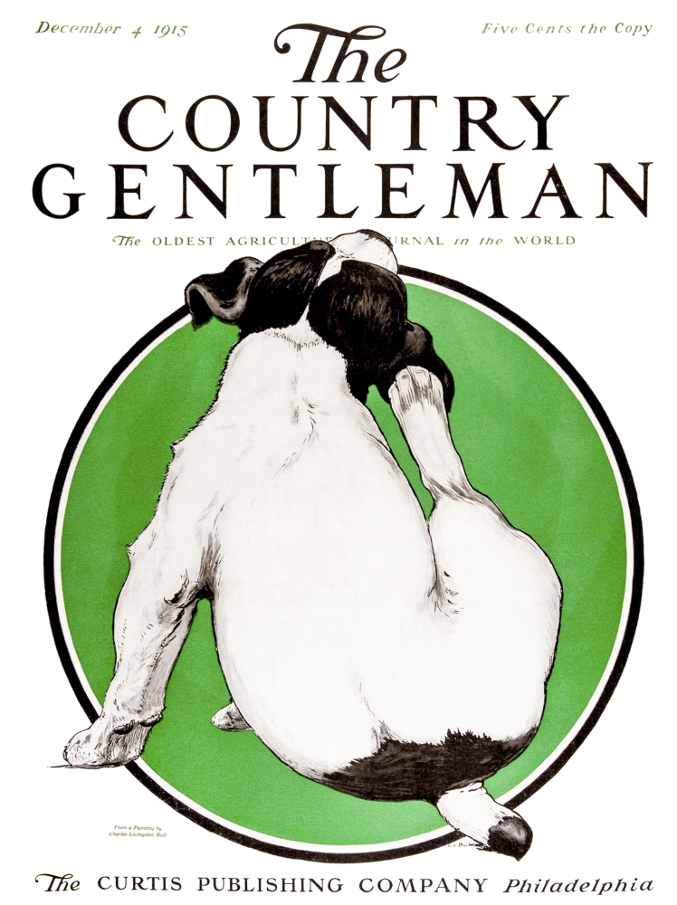DPI12272488 Cover of Country Gentleman Agricultural Magazine From The Early 20th Century Poster Print - 13 x 17 in.