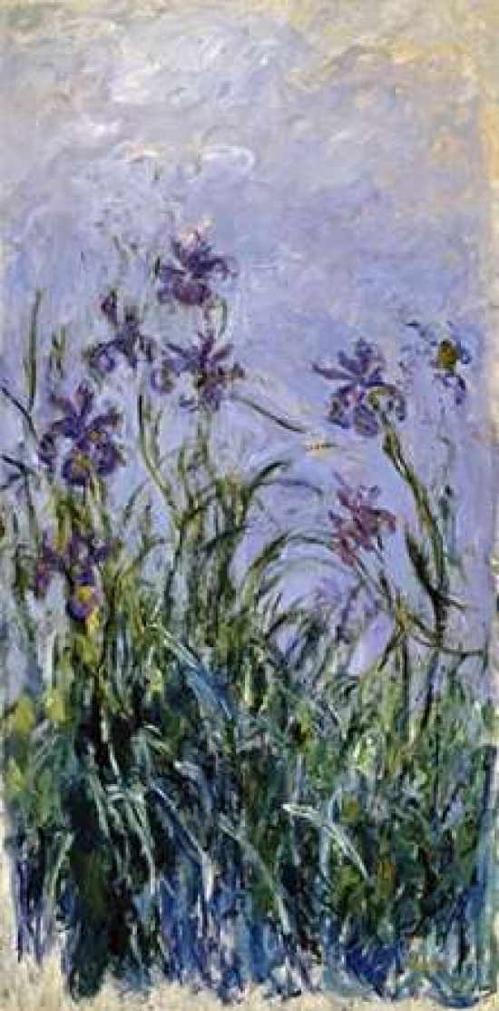 Iris Mauves Poster Print by Claude Monet - 24 x 48 - Large