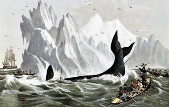Capturing The Whale Poster Print by Currier & Ives - 24 x 36 - Large
