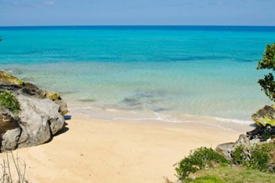 PDDCA07MDE0016B Serene Drews Bay Beach Bermuda Poster Print by Michael Defreitas, 24 x 15