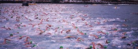 Picture of Panoramic Images PPI98656S Triathlon Athletes Swimming in Water in A Race Ironman Kailua Kona Hawaii USA Poster Print, 18 x 7