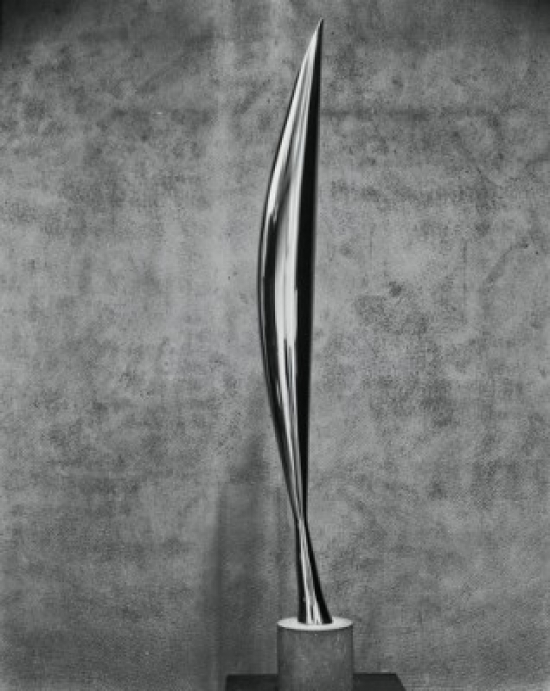 Bird in Space 1919 Constantin Brancusi, 1876-1957 & Romanian Bronze Museum of Modern Art New York City Poster Print, 18 x 24