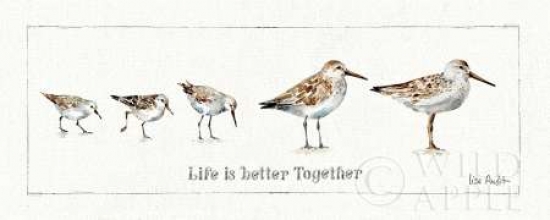 Pebbles & Sandpipers I Poster Print by Lisa Audit - 24 x 48 - Large