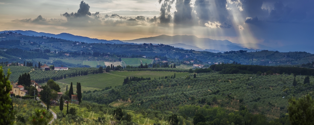 DPI12273456LARGE Sunbeams Through The Clouds Over Vineyards - Capanuccia Florence Italy Poster Print - 36 x 14 in. - Large