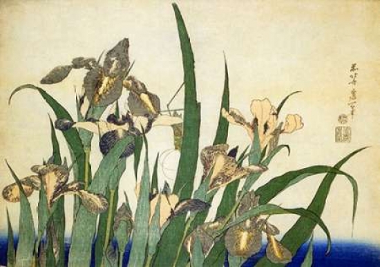 Irises Poster Print by Hokusai - 12 x 18 - Small