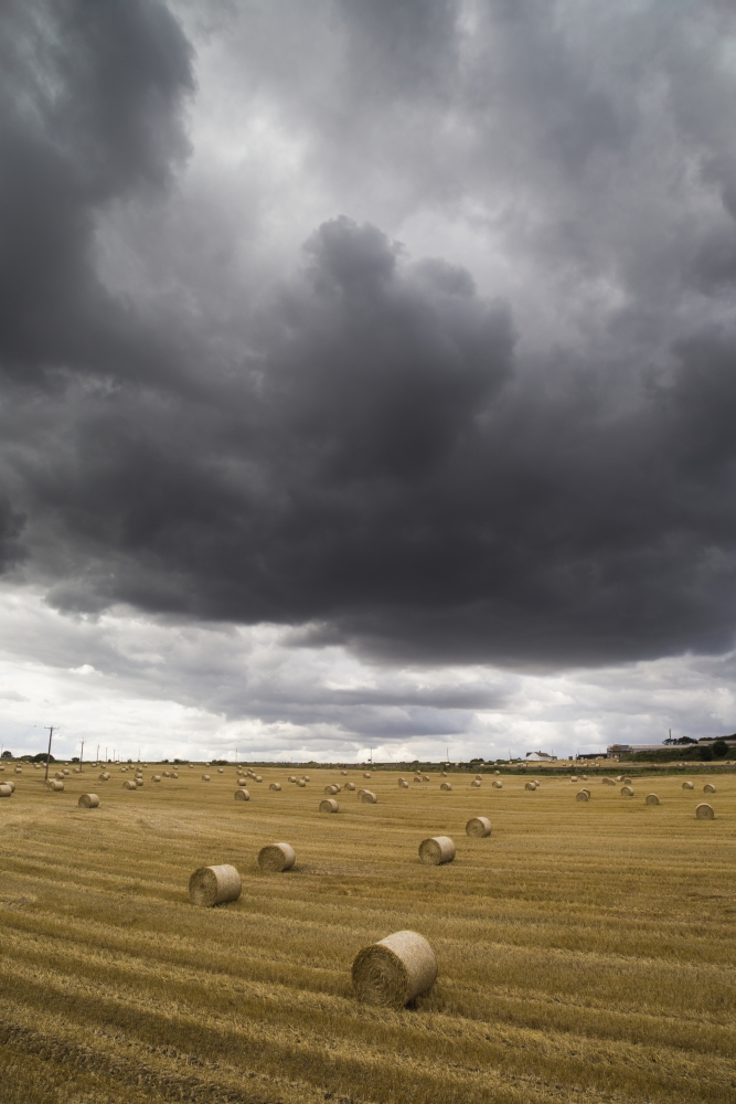 DPI12279491LARGE Dark Storm Clouds Over A Field with Hay Bales - South Shields England Poster Print - 24 x 38 in. - Large -  Posterazzi
