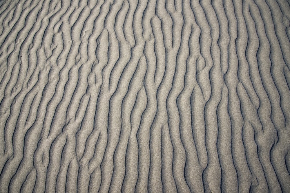 DPI12277132LARGE Wind Makes Patterns on The Beach - Gearhart Oregon United States of America Poster Print - 36 x 24 in. - Large
