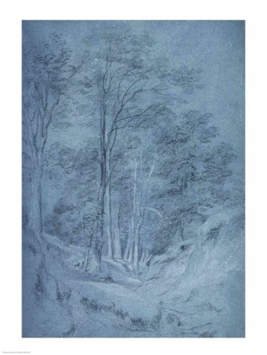 Study of Ash & Other Trees Poster Print by John Constable - 18 x 24 in.