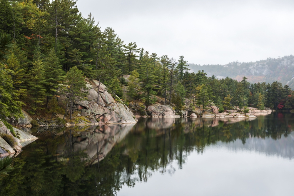 Green Coniferous Forest on A Tranquil Lake Shore with Red Rock Geological Formations - Killarney Ontario Canada Poster Print - 17 x 11 in.