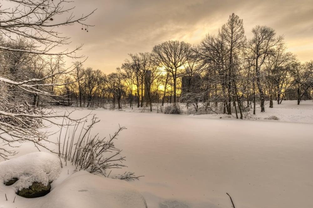The Pool Frozen Over at Sunrise in Central Park - New York City United States of America Print - 19 x 12 in.