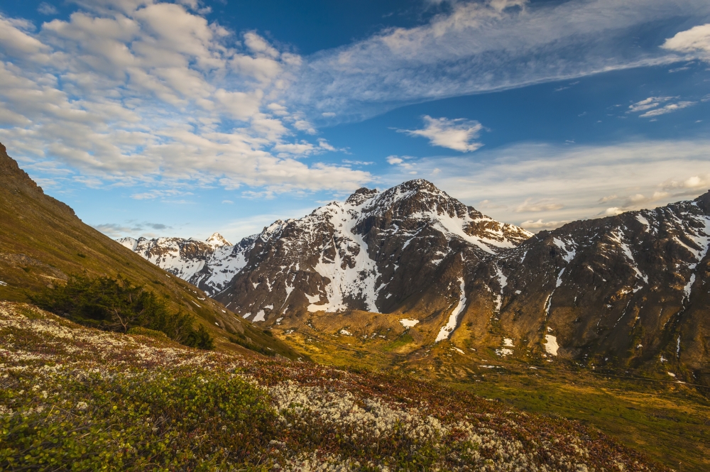 Powerline Pass Valley & The Powerline Trail in Chugach State Park South Central Alaska Poster Print - 38 x 24 in. - Large