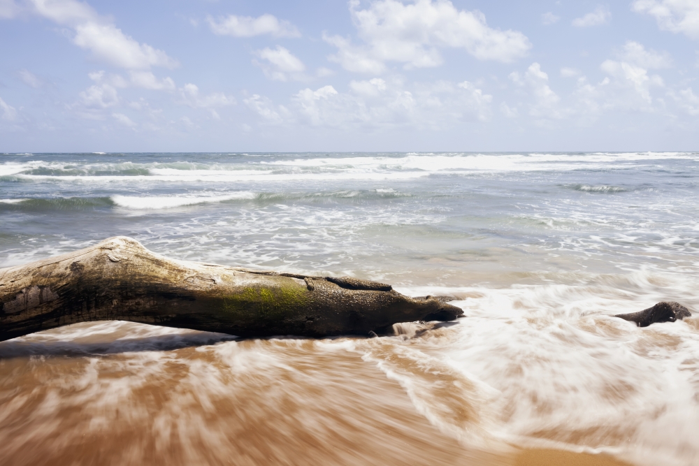 DPI12278660LARGE Driftwood & Rocks at Lydgate Beach Park - Lydgate Kauai Hawaii United States of America Poster Print - 38 x 24 in. - Large