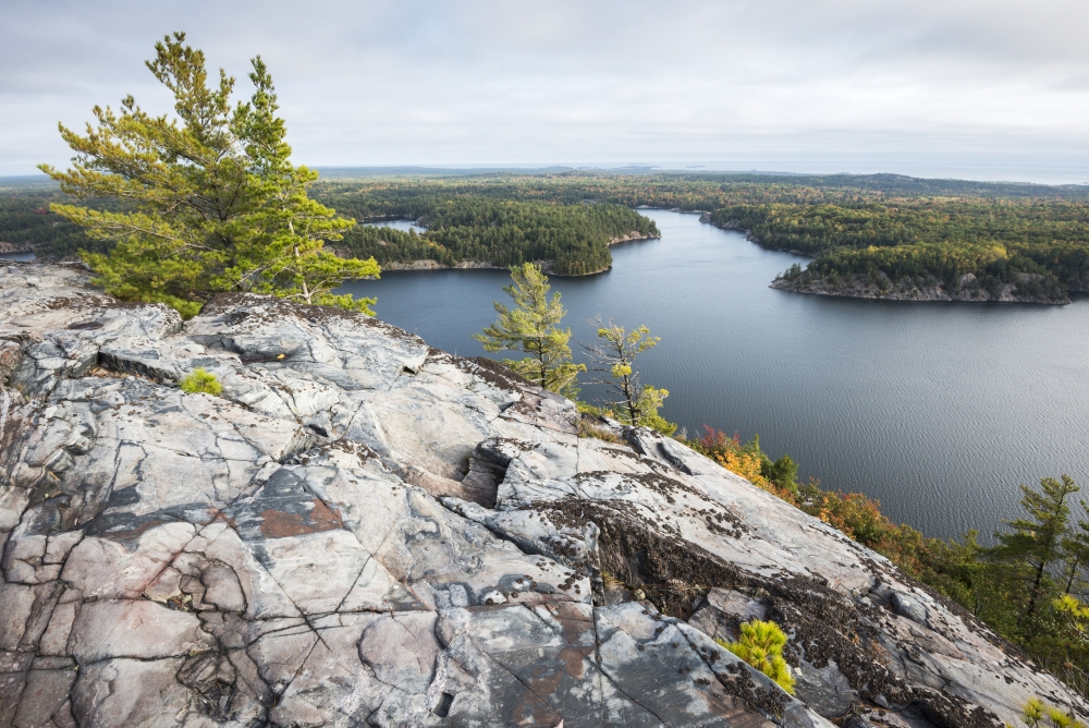Beautiful View of A Fall Forest & George Lake From The Mountain Top - Killarney Ontario Canada Poster Print - 38 x 24 in. - Large