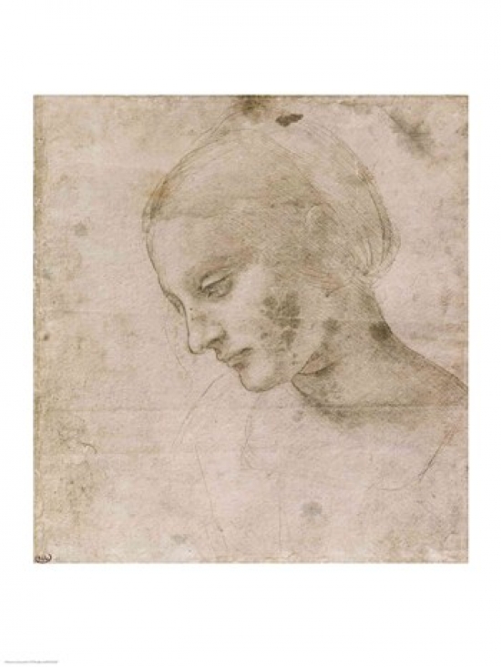 Head of A Young Woman Or Head of The Virgin Poster Print by Leonardo Da Vinci - 18 x 24 in.
