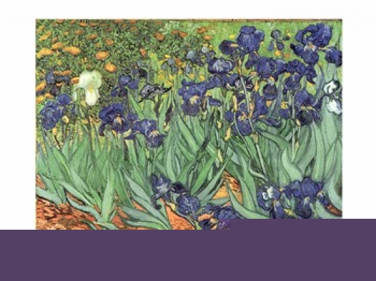 Irises 1889 Poster Print by Vincent Van Gogh - 24 x 18 in.