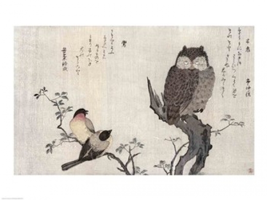 Picture of Posterazzi BALXIR253125 An Owl & Two Eastern Bullfinches Poster Print - 24 x 18 in.