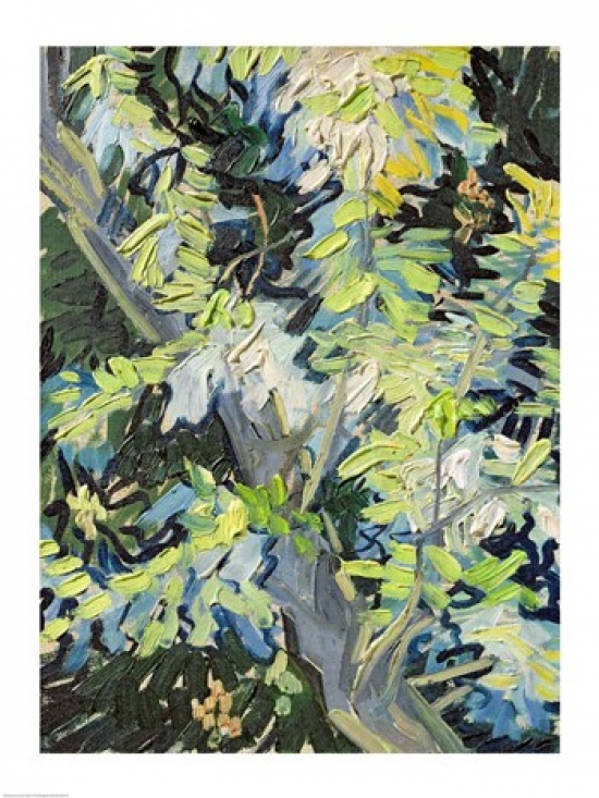 Acacia in Flowe Poster Print by Vincent Van Gogh - 18 x 24 in.